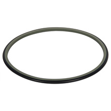 PTFE Lip Rotary Seal Niedrige Reibung aus der Fabrik